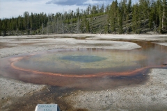 Yellowstone 2008